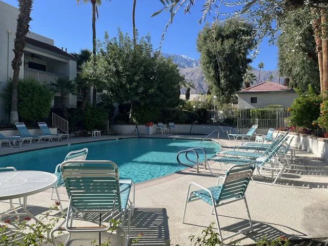 a view of a patio with table and chairs potted plants and palm trees
