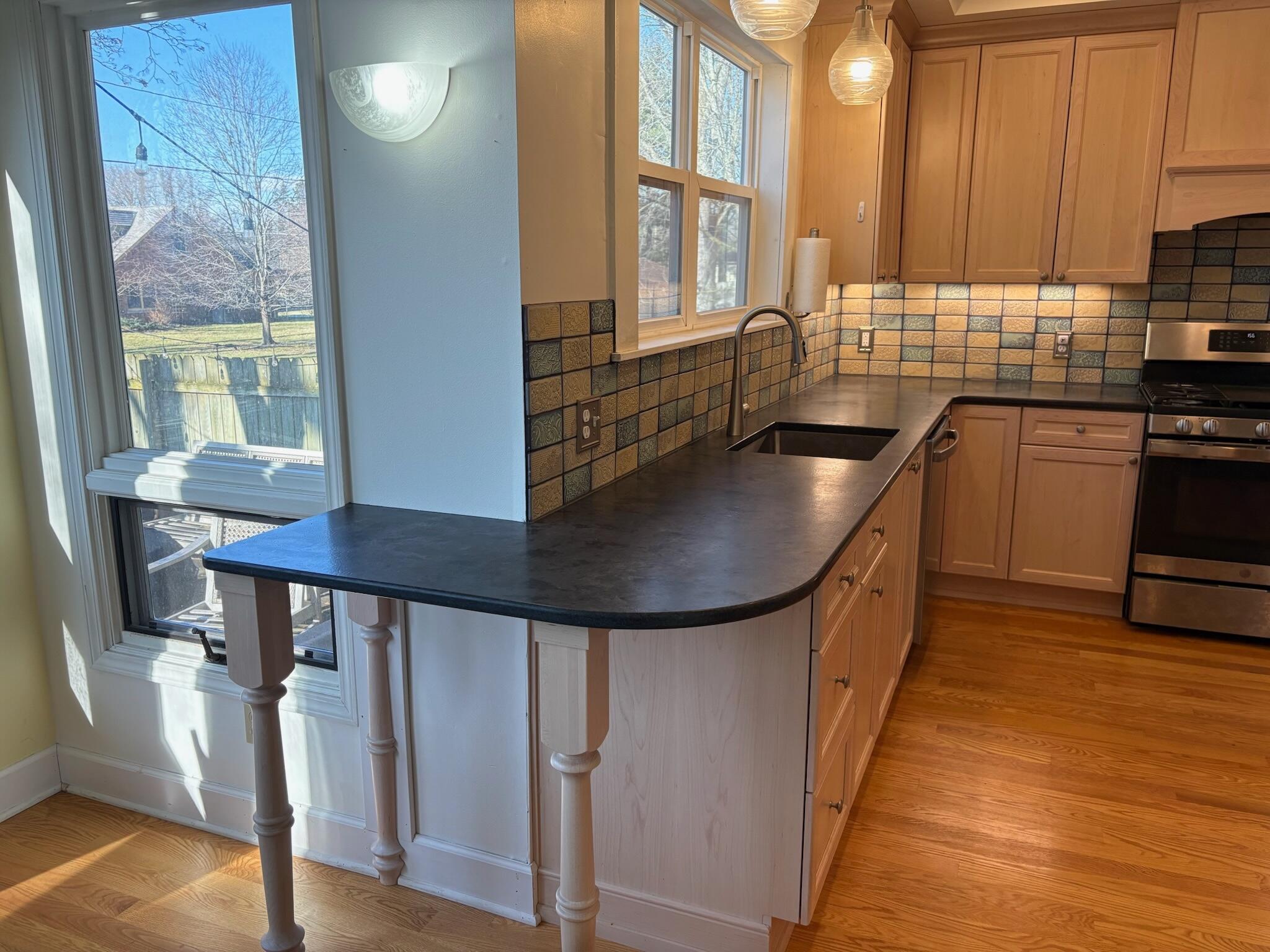 433 McKinley Street Chelsea, MI 48118 - Photo 16 of 66 IMG_1276