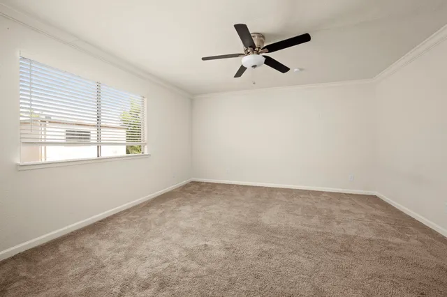 a view of a big room with carpet