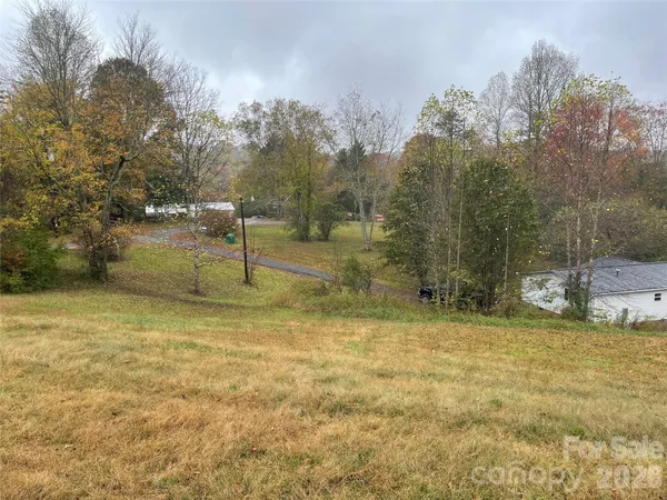 a view of a yard with trees