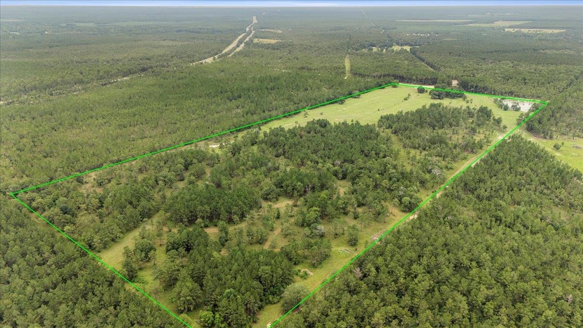 Ooo Horseshoe Road Kountze, TX 77625 - Photo 9 of 17