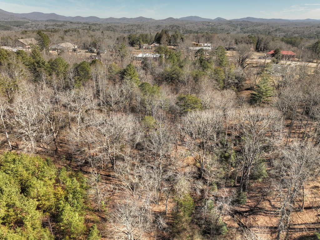 3.12-acs Blue Ridge Drive Blue Ridge, GA 30513 - Photo 15 of 20 Gallery Image 15