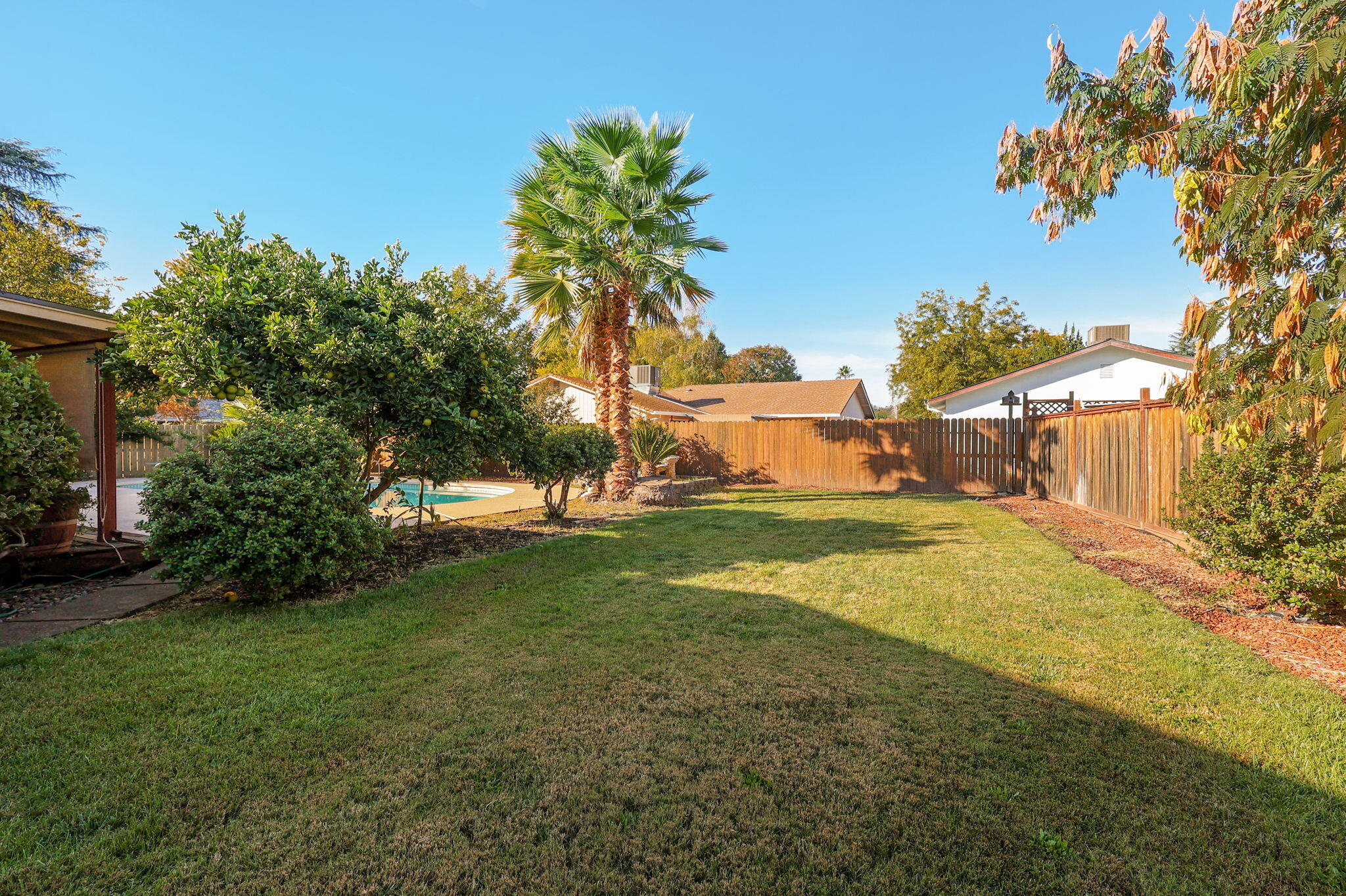 3420 Riverview Drive Redding, CA 96001 - Photo 35 of 40 a view of a yard with palm trees