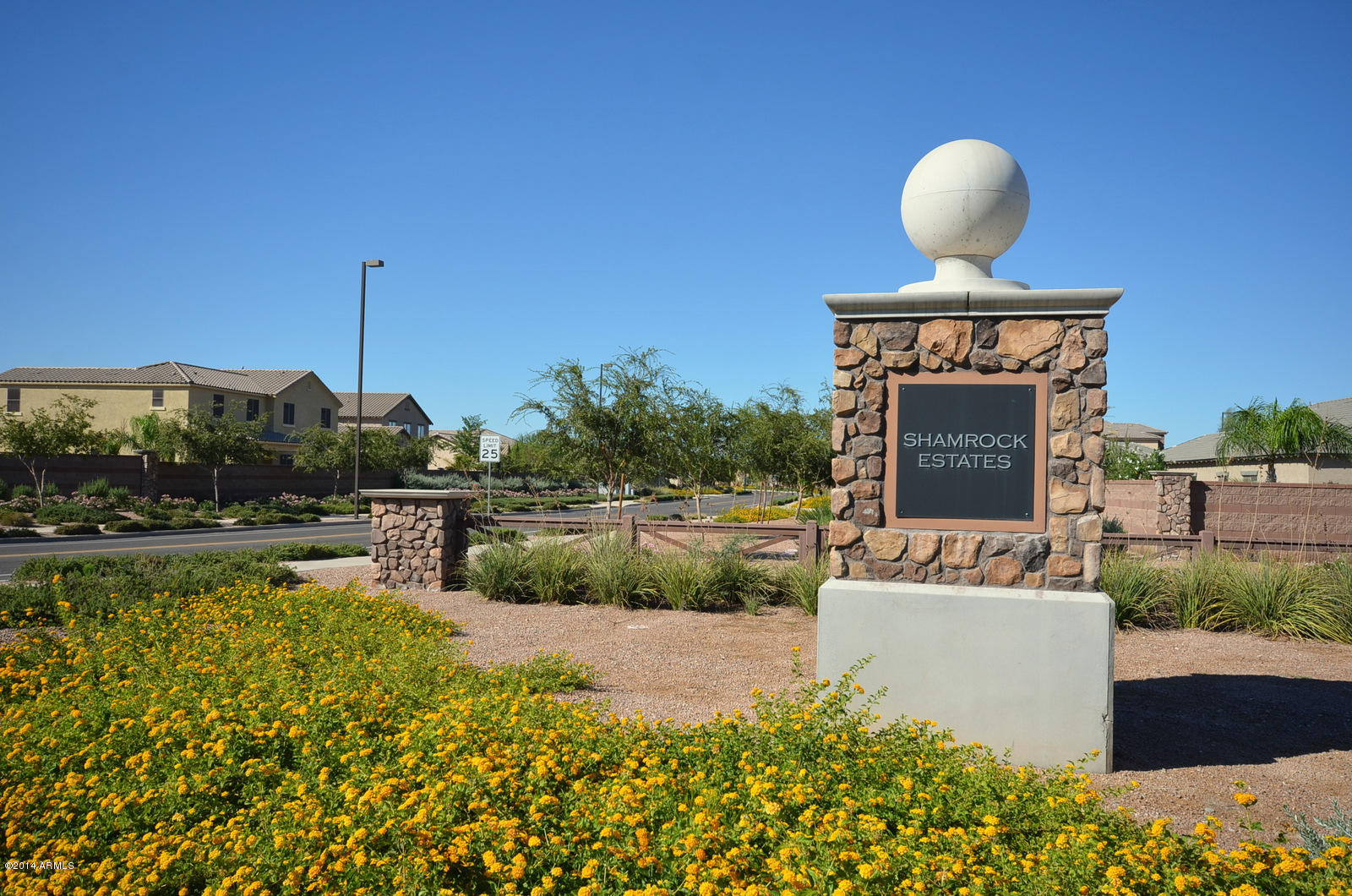 6270 South Rochester Drive Gilbert, AZ 85298 - Photo 40 of 40 12-DSC_5605