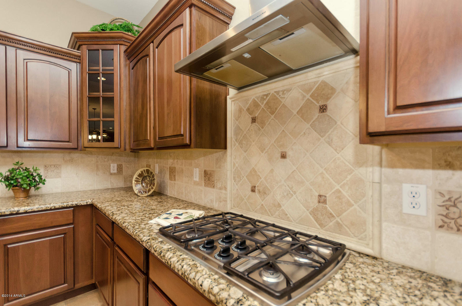 6270 South Rochester Drive Gilbert, AZ 85298 - Photo 8 of 40 20-DSC_4459