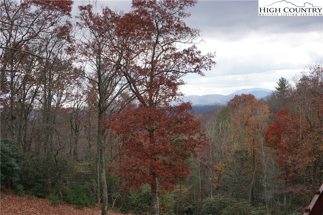 182 Buckland Road Grassy Creek, NC 28631 - Photo 36 of 38