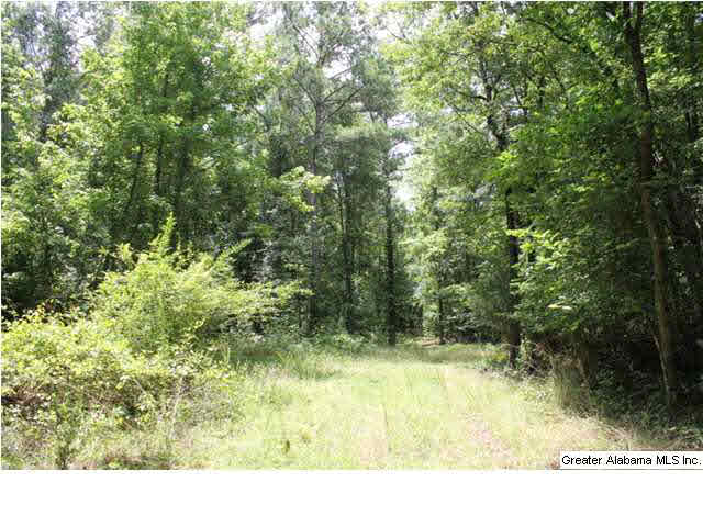 793 County Road, Unit 460 Centre, AL 35960 - Photo 2 of 11