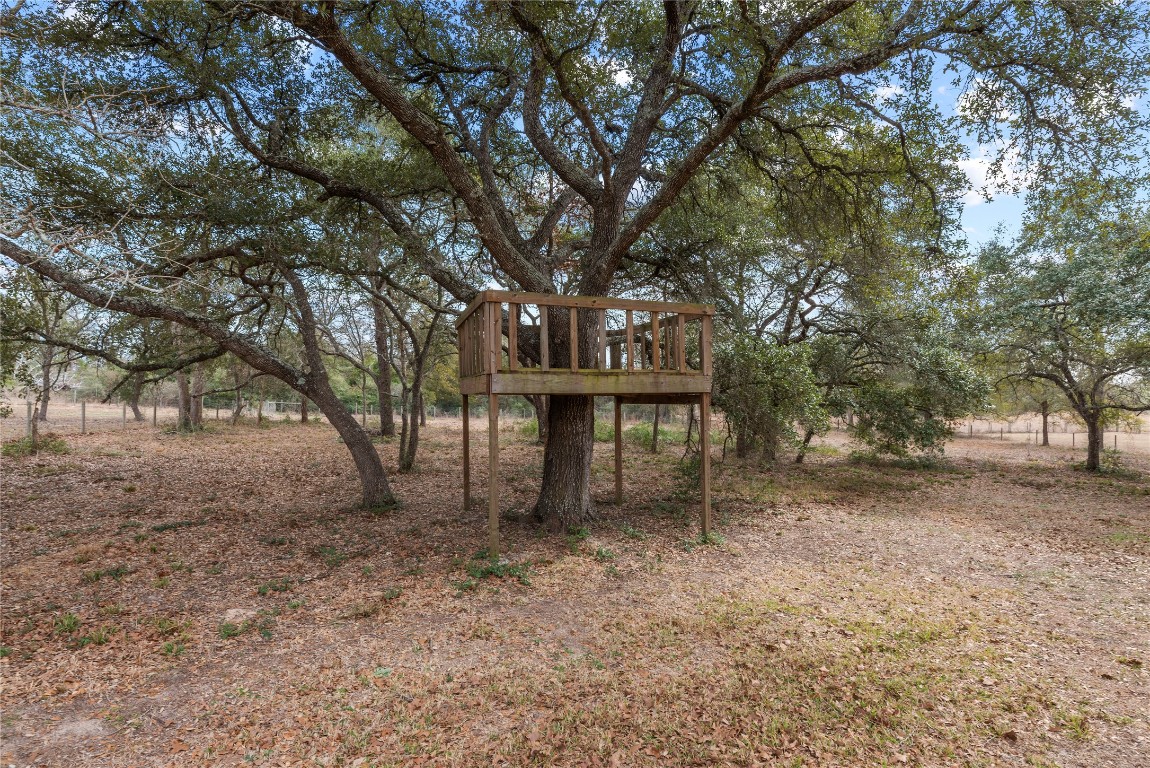 2051 Hillview Road Bellville, TX 77418 - Photo 38 of 47 Charming backyard treehouse.