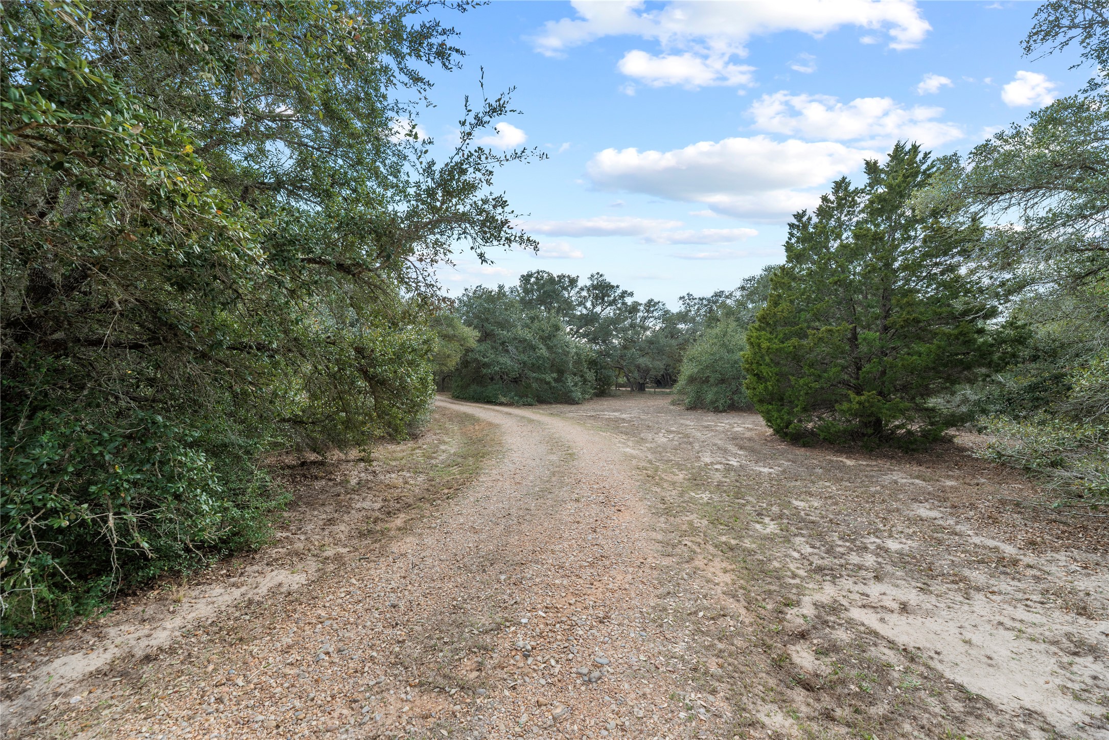 2051 Hillview Road Bellville, TX 77418 - Photo 5 of 47 4.4 wooded acres.