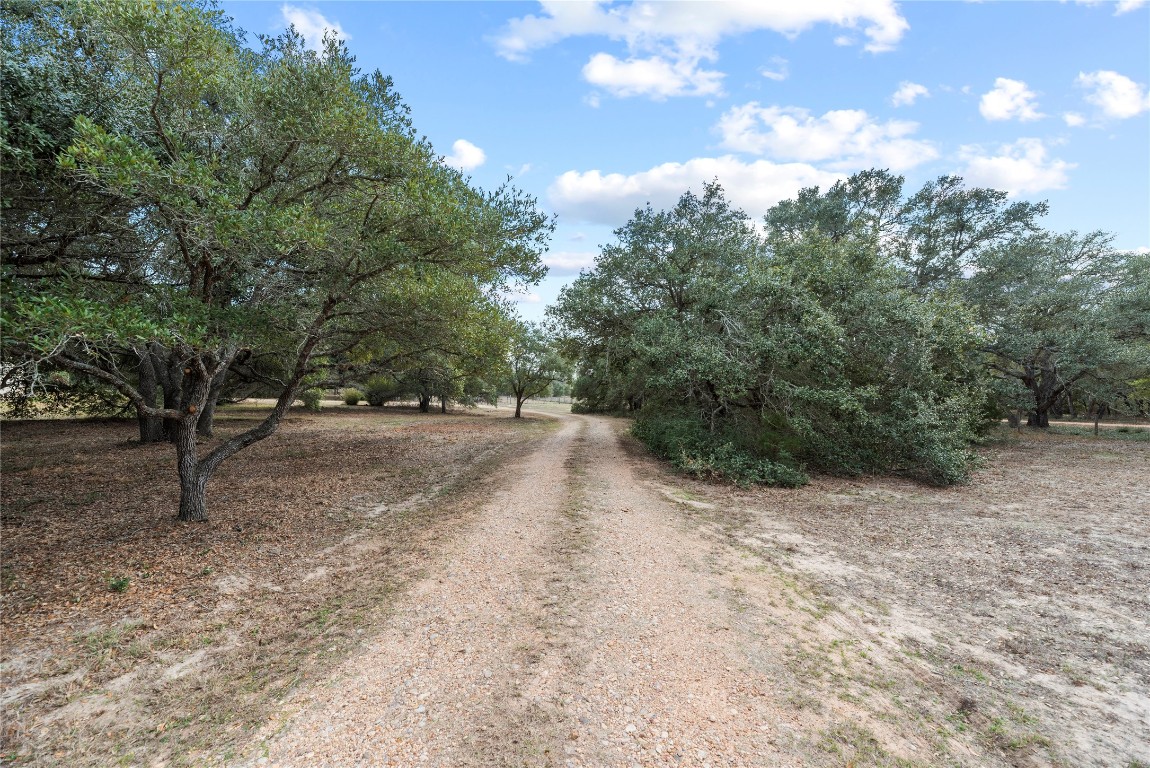 2051 Hillview Road Bellville, TX 77418 - Photo 6 of 47 Peaceful, country living.