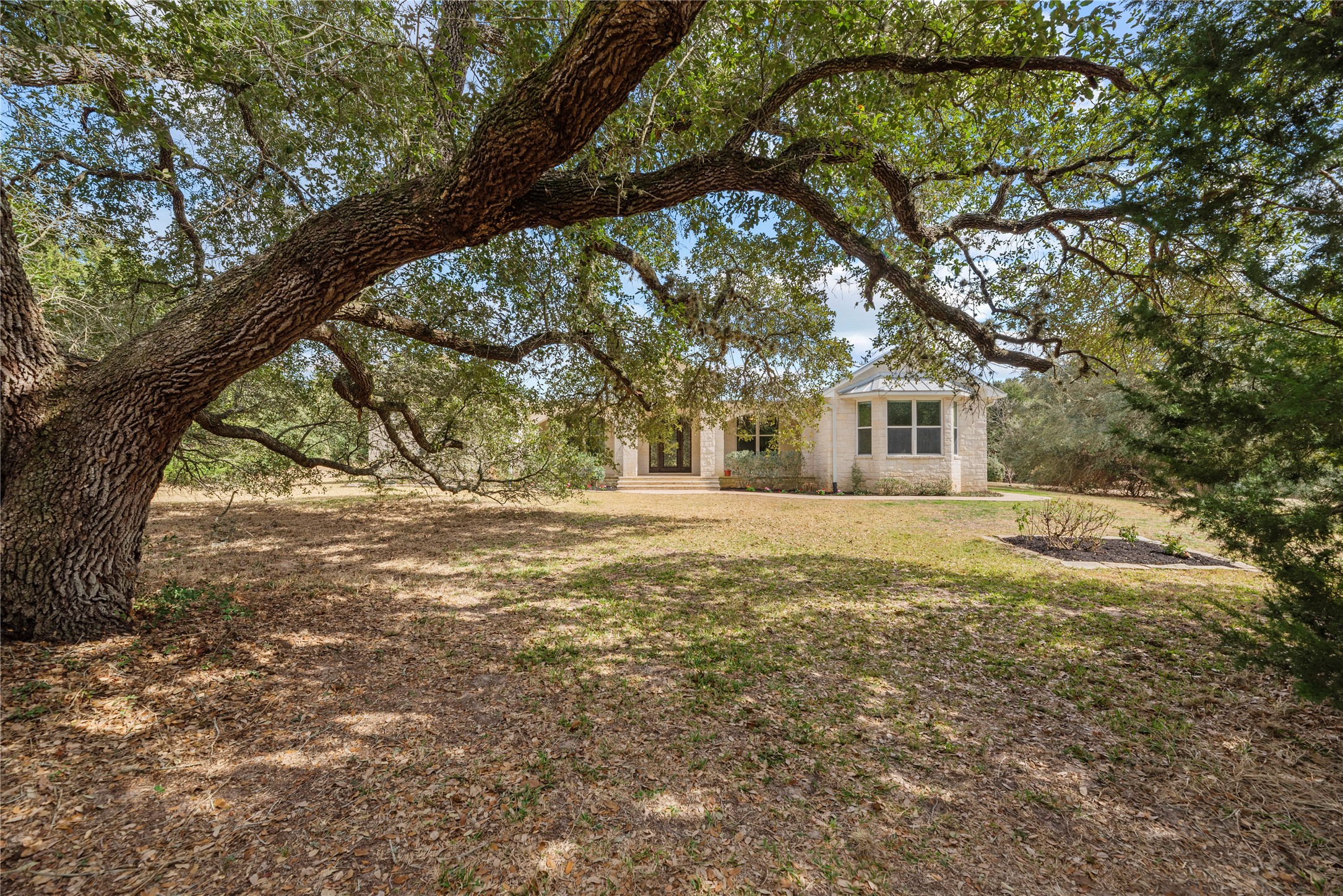 2051 Hillview Road Bellville, TX 77418 - Photo 7 of 47 100-year-old live oaks throughout the property.