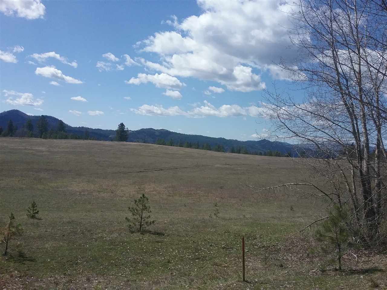 Bead Lake Road Newport, WA 99156 - Photo 1 of 13 Gallery Image 1