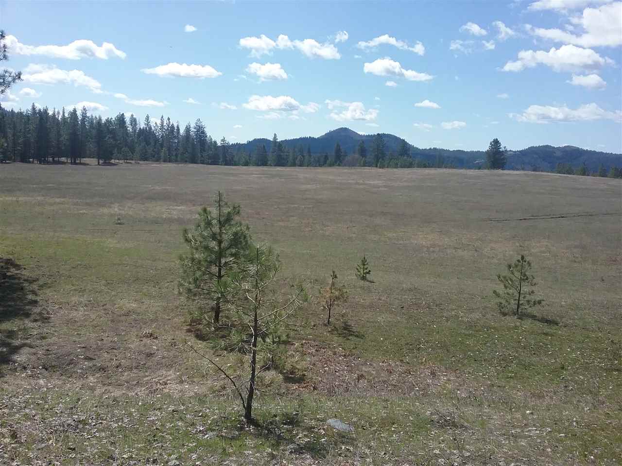 Bead Lake Road Newport, WA 99156 - Photo 2 of 13 Gallery Image 2