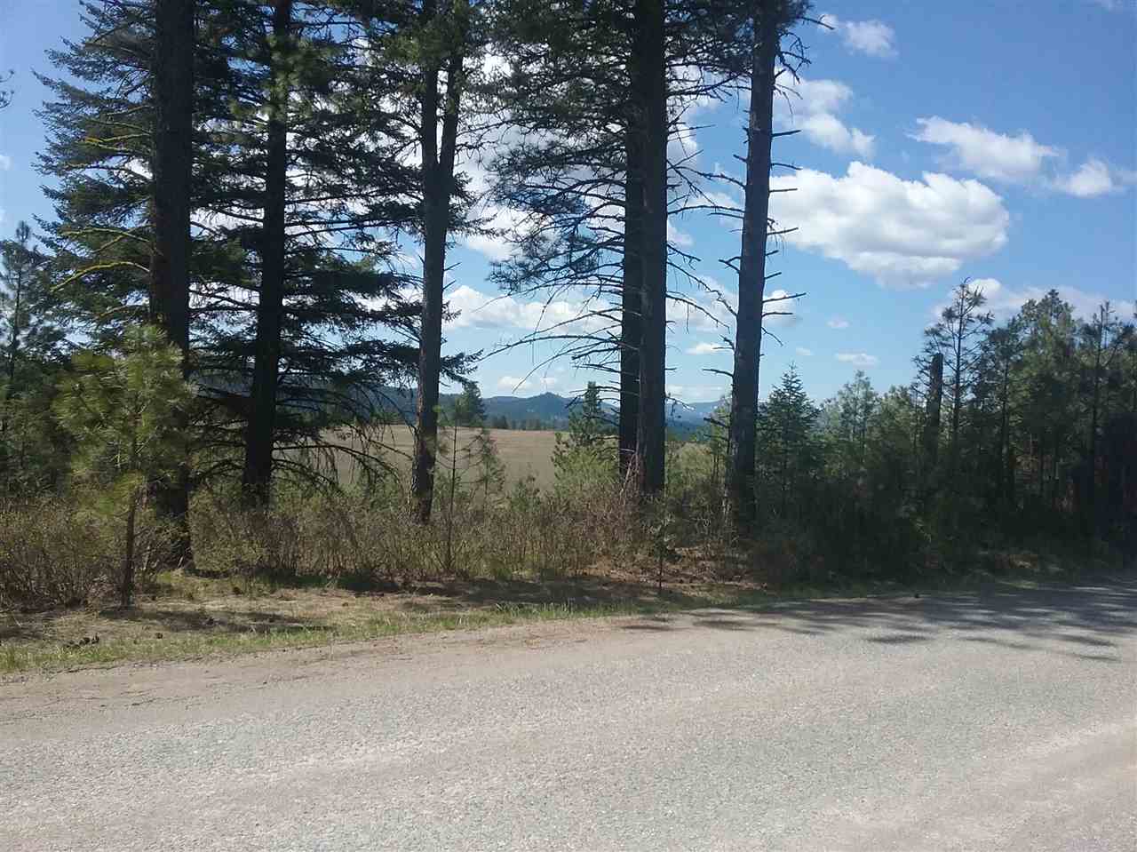 Bead Lake Road Newport, WA 99156 - Photo 4 of 13 Gallery Image 4