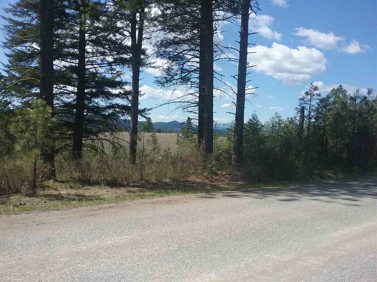 Bead Lake Road Newport, WA 99156 - Photo 5 of 13 Gallery Image 5