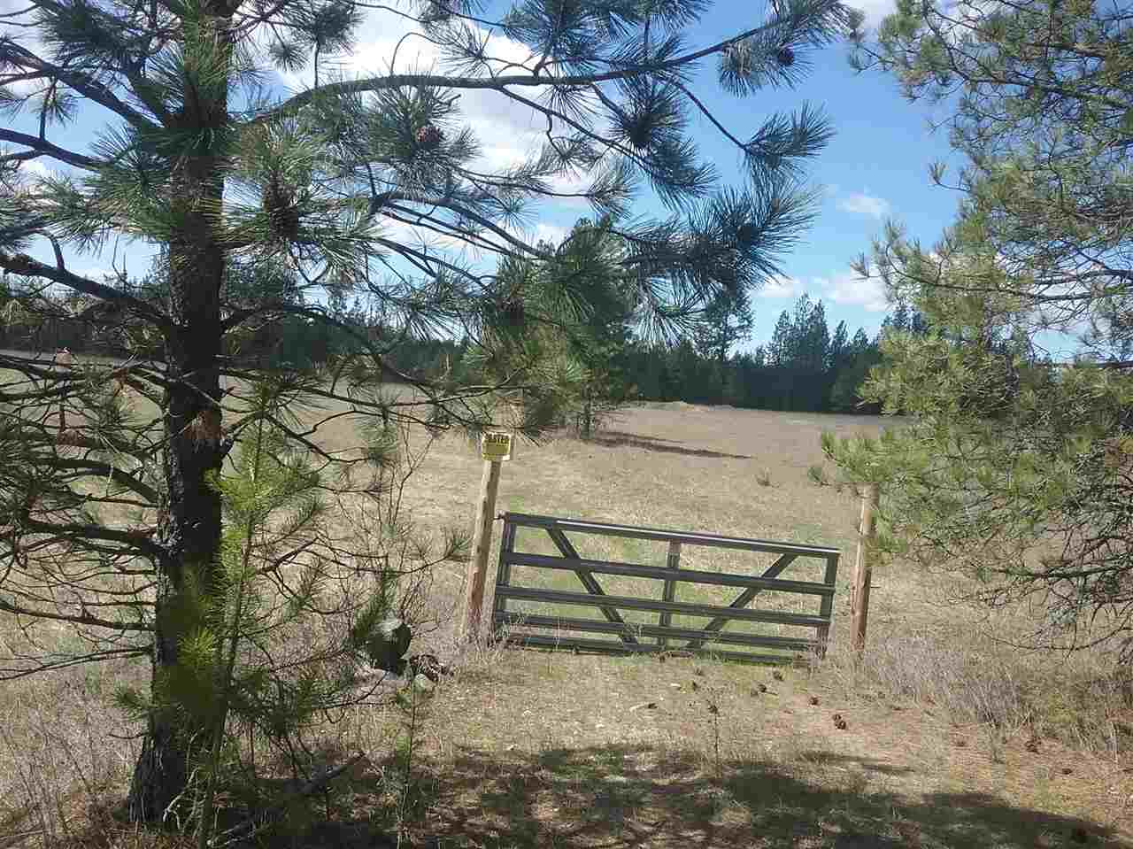 Bead Lake Road Newport, WA 99156 - Photo 10 of 13 Gallery Image 10