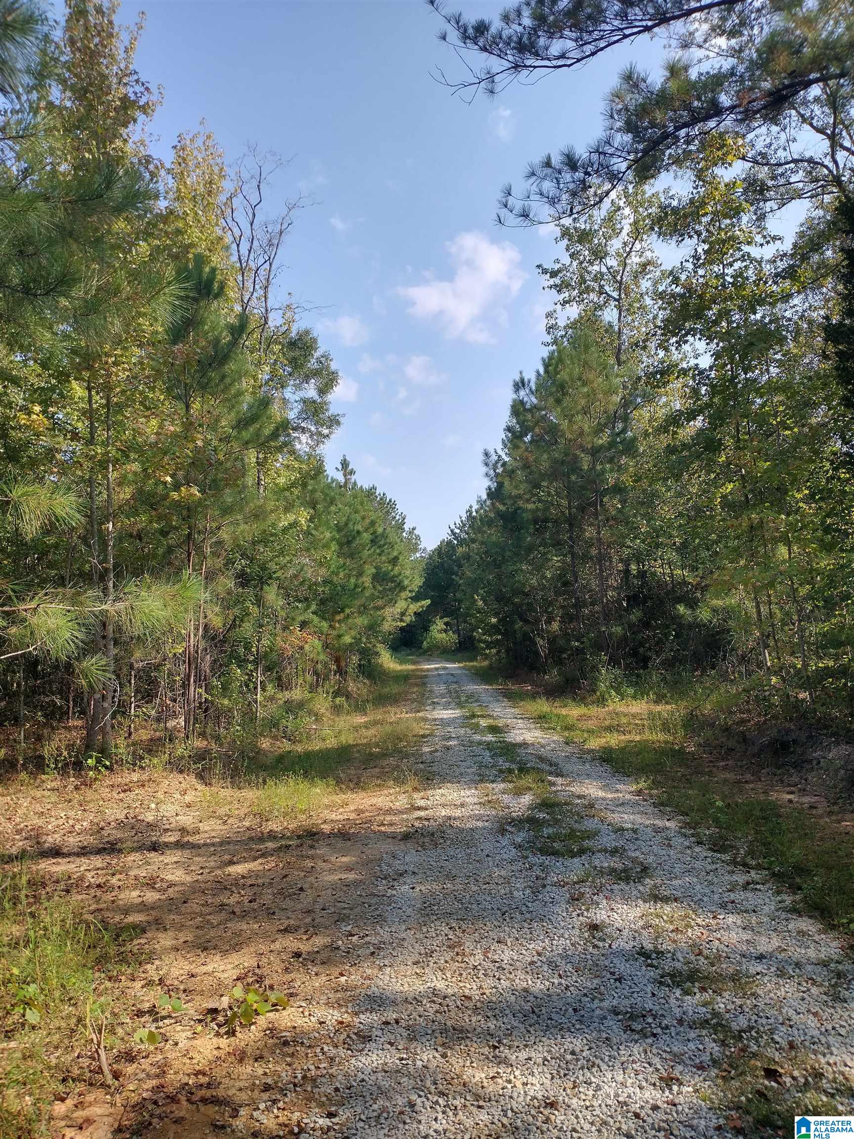 8100 Mckesie Street, Unit 81 ACRES Riverside, AL 35135 - Photo 14 of 18