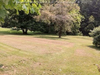 3261 Little Sandy Road Elkview, WV 25071 - Photo 24 of 26 Gallery Image 24