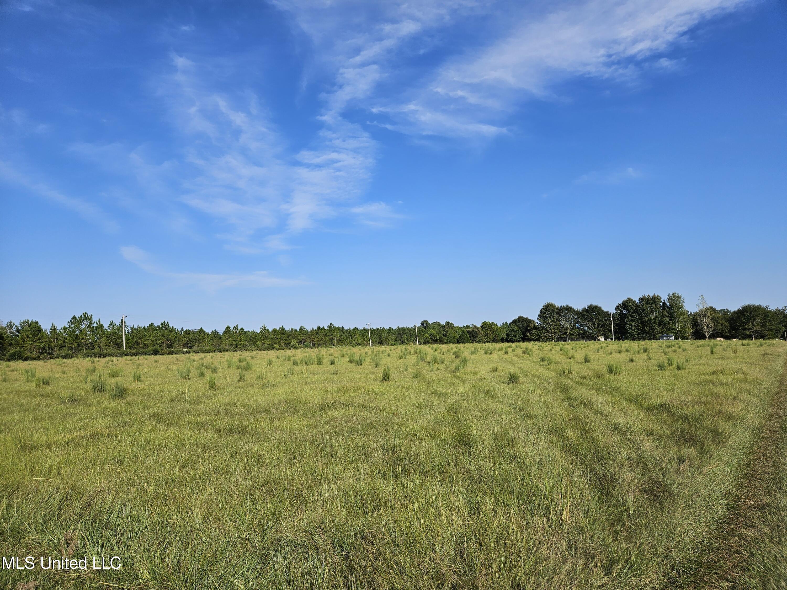 John Clark Road Front Pasture
