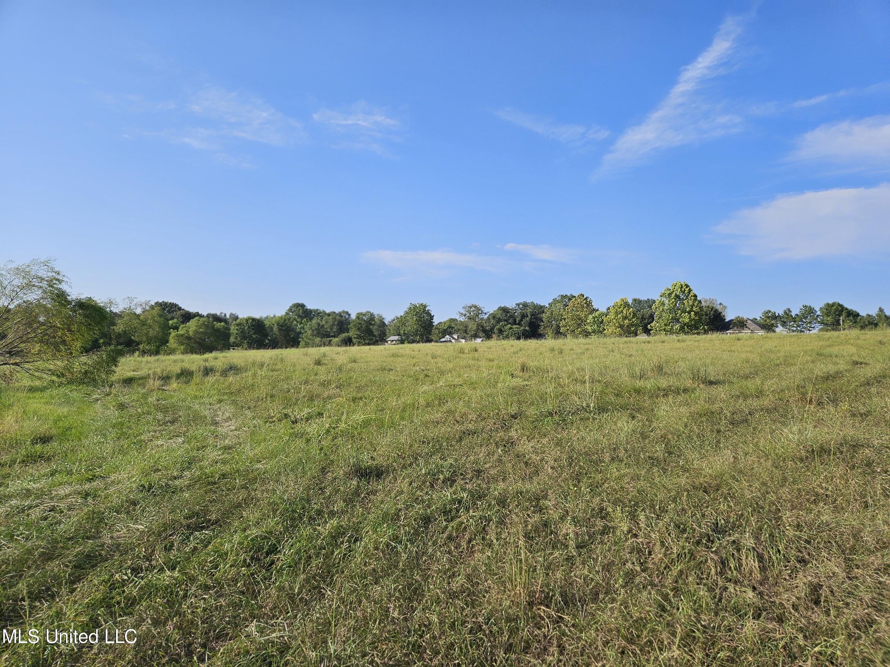 Middle Pasture