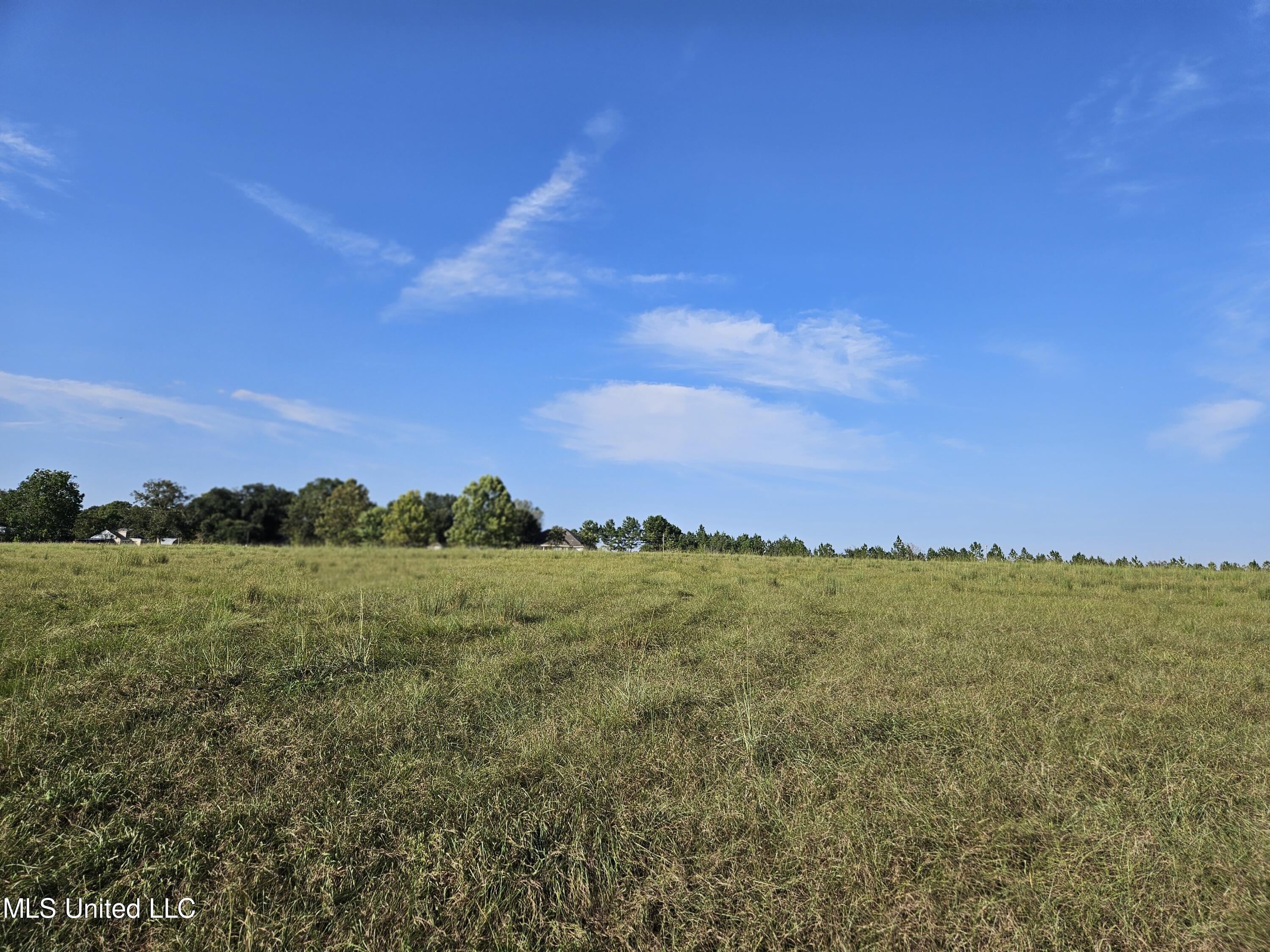 Middle Pasture
