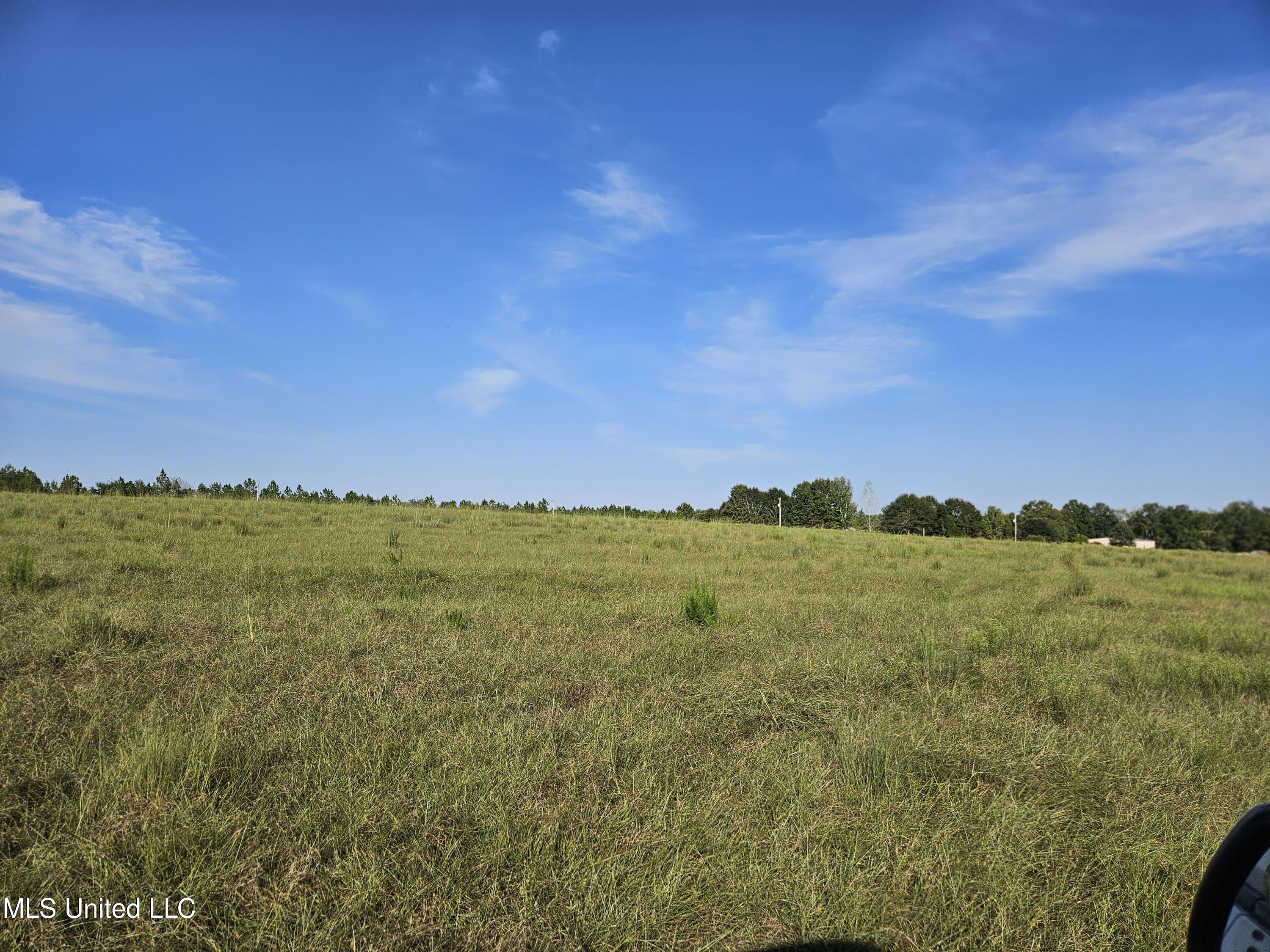 Middle Pasture