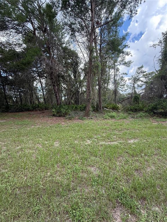 15625 Stable Run Drive Spring Hill, FL 34610 - Photo 26 of 26