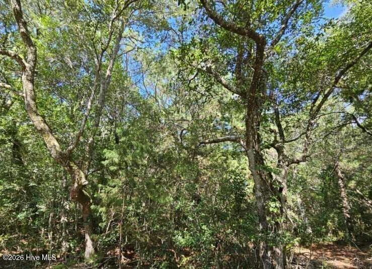 17 Col William Rhett Trail Southport, NC 28461 - Photo 2 of 5 20230830170527081671000000-o