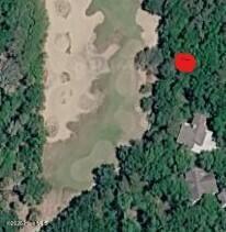 17 Col William Rhett Trail Southport, NC 28461 - Photo 5 of 5 17 CWR Aerial