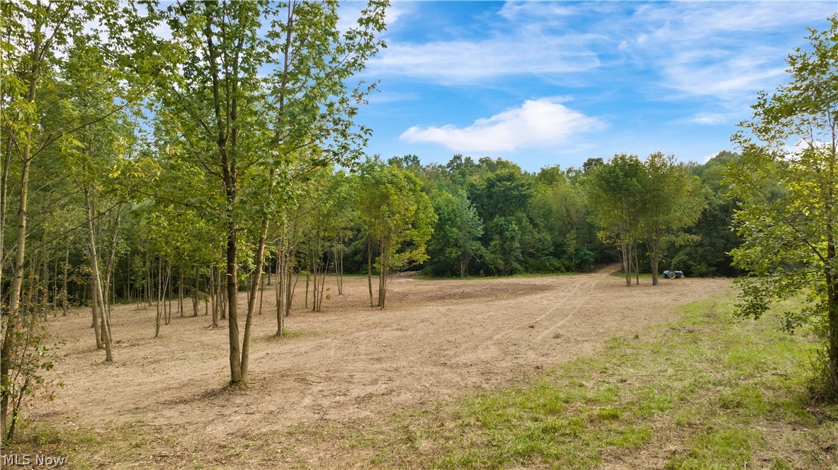 Whitman Road Doylestown, OH 44230 - Photo 6 of 16 Gallery Image 6