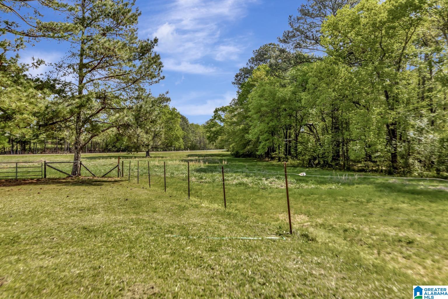515 Hoyt Hill Road Ashville, AL 35953 - Photo 8 of 49