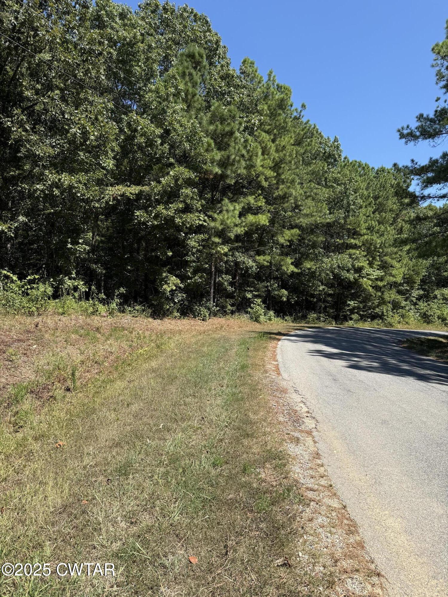 0 Reedy Creek Road Huntingdon, TN 38344 - Photo 2 of 3 a view of yard with large trees
