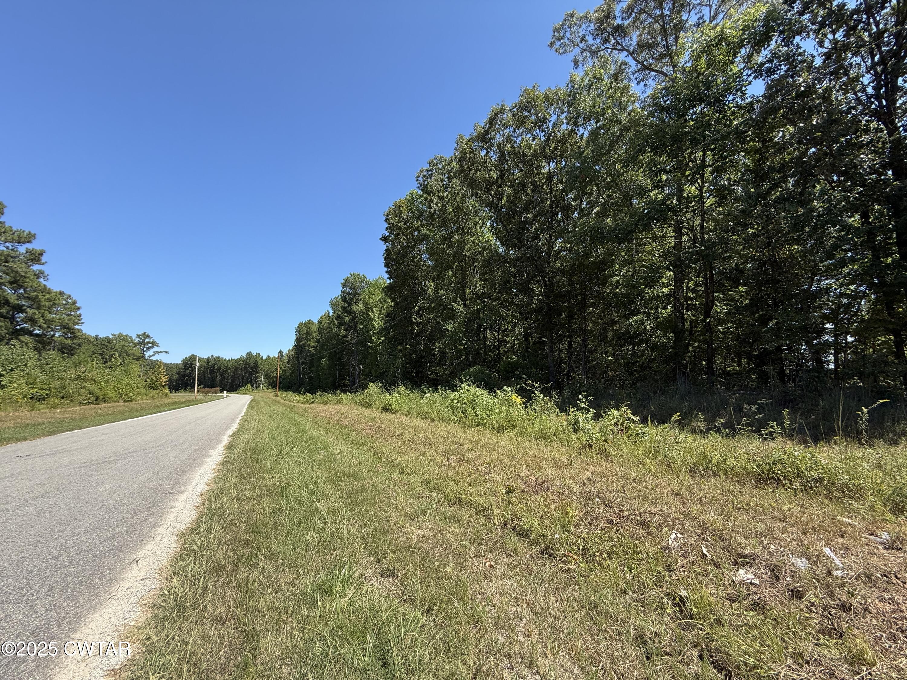 0 Reedy Creek Road Huntingdon, TN 38344 - Photo 3 of 3 a view of a yard with a tree