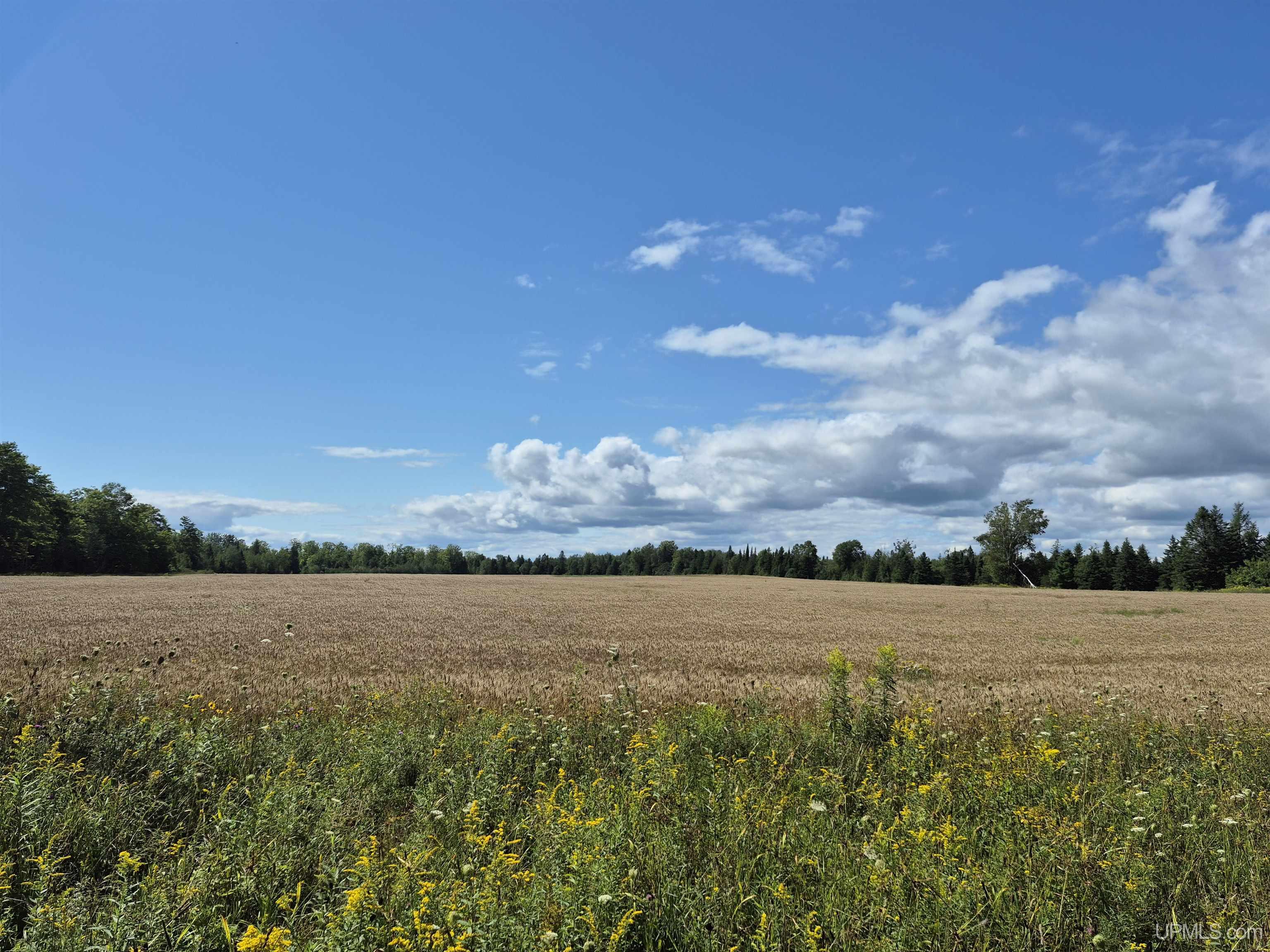 160-acres Halverson Road Gulliver, MI 49840 - Photo 16 of 35