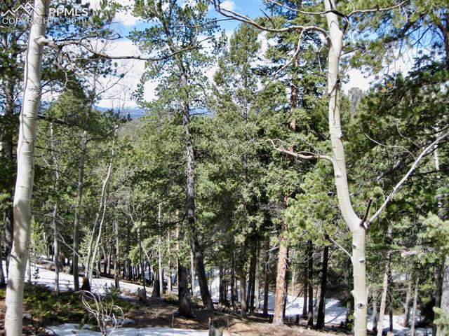 659 Paradiso Road Divide, CO 80814 - Photo 10 of 13