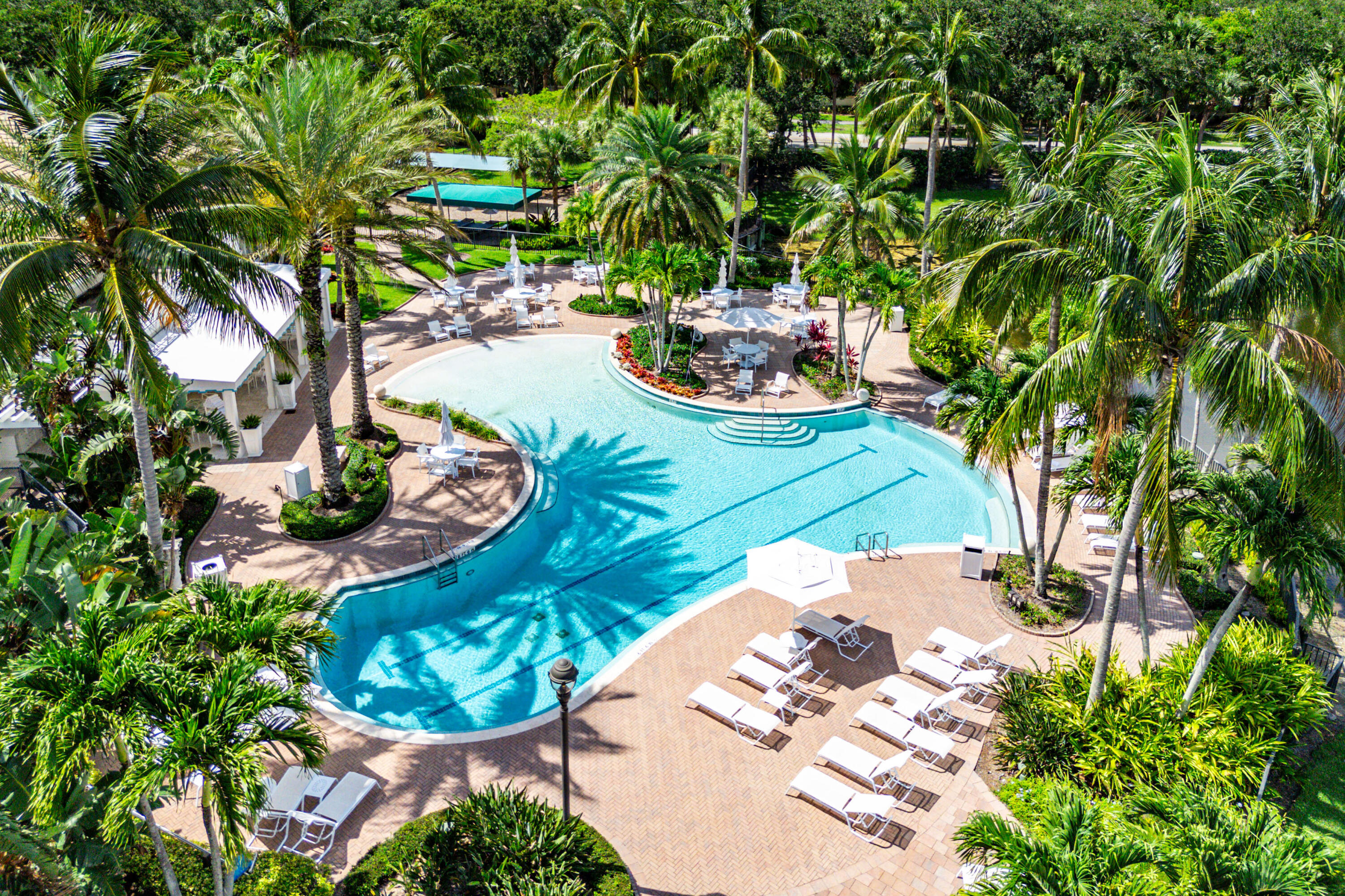 123 Terrapin Trail Jupiter, FL 33458 - Photo 46 of 63 a view of a swimming pool with some plants and large trees
