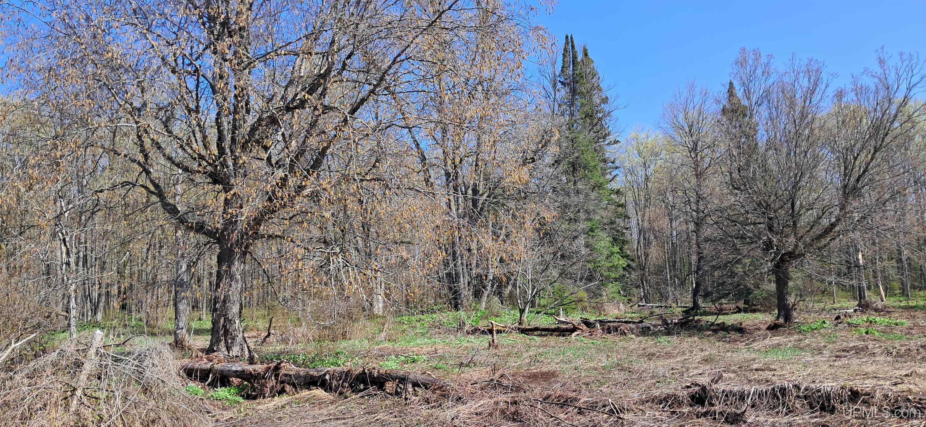 Tbd County H26 Road Rock, MI 49880 - Photo 20 of 20