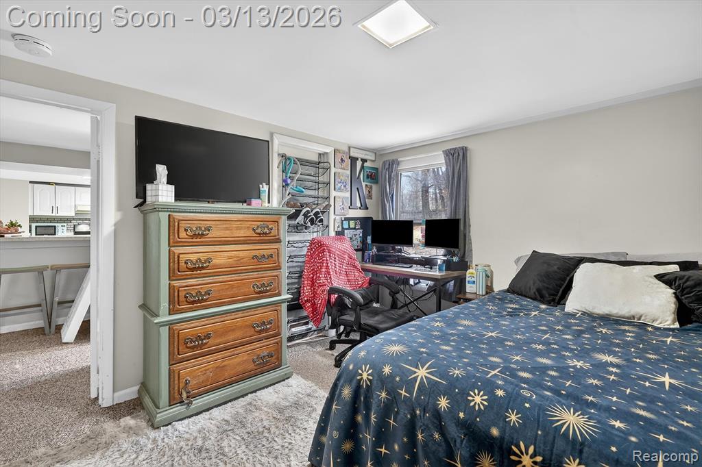 9061 North McKinley Road Flushing, MI 48433 - Photo 36 of 44