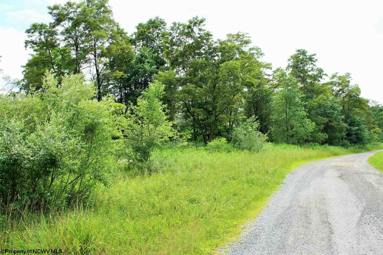 0 Sugar Valley Road Albright, WV 26519 - Photo 4 of 17 Gallery Image 4