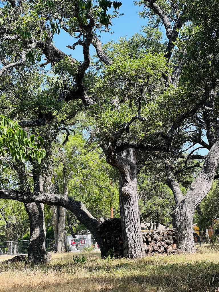 9th Street Blanco, TX 78606 - Photo 2 of 6 a view of a wooden bridge