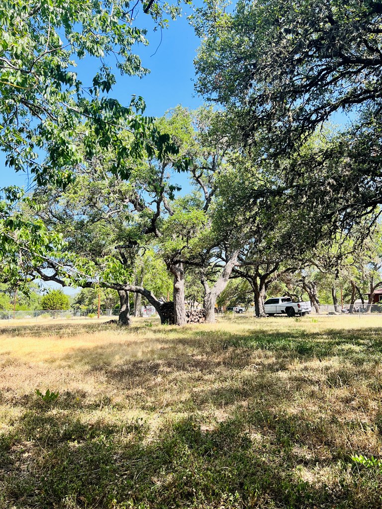 9th Street Blanco, TX 78606 - Photo 3 of 6 a view of a yard with a tree