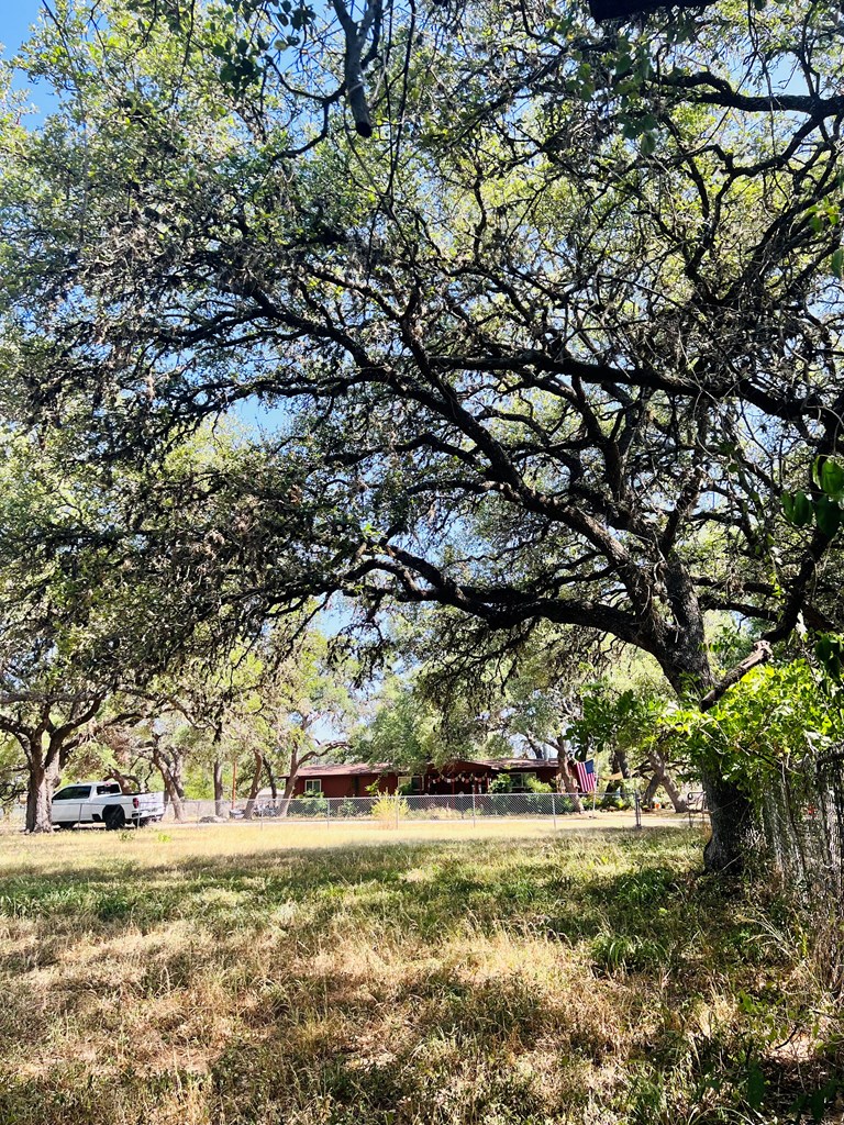 9th Street Blanco, TX 78606 - Photo 4 of 6 a view of a yard with a tree