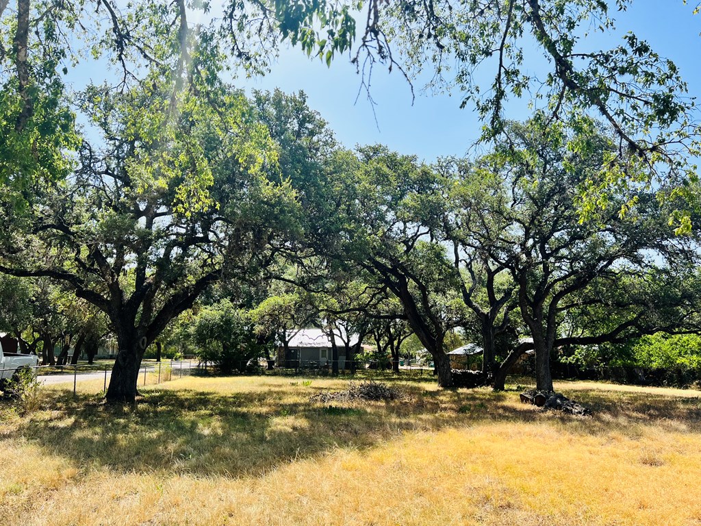 9th Street Blanco, TX 78606 - Photo 5 of 6 a view of yard with trees