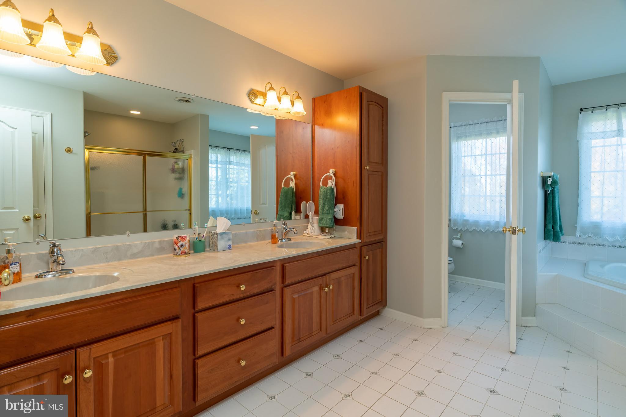 61 Starr Road Reading, PA 19608 - Photo 57 of 79 Double Vanity in Master suite