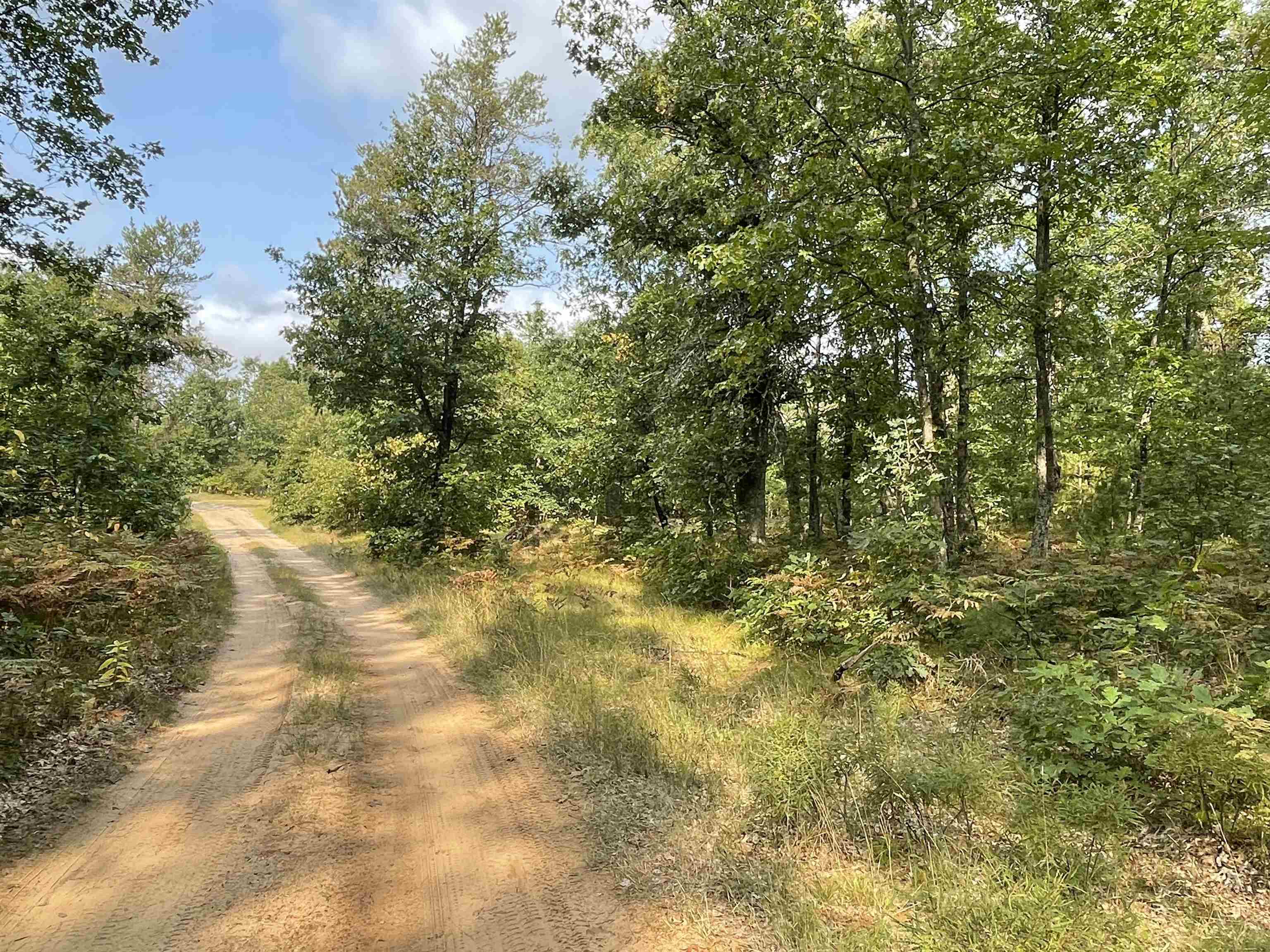 0 Koenig Road, Unit FREESOIL TOWNSHIP Free Soil, MI 49411 - Photo 2 of 11