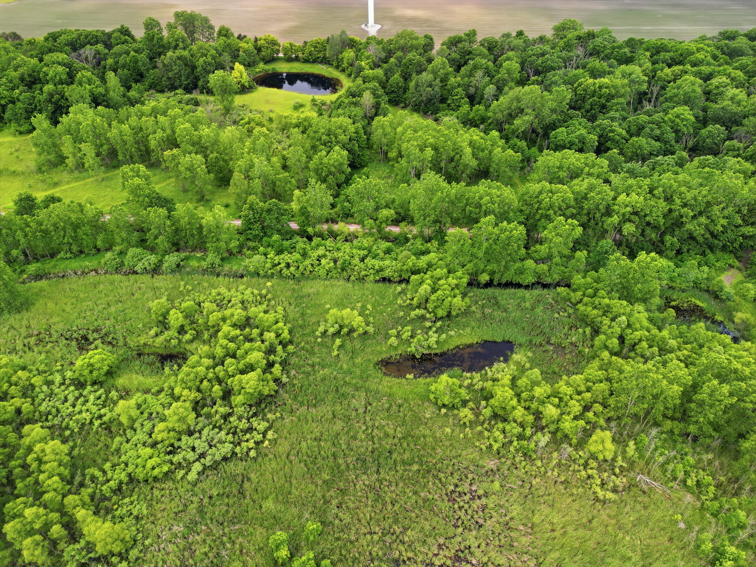 7 East Johnson Road Ashley, MI 48806 - Photo 3 of 37 45_a-43