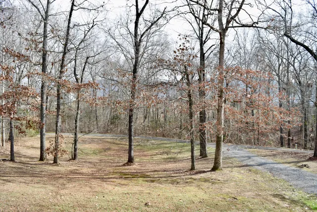 $325,000 | 58 Marilyn Court, Dunlap, TN 37327