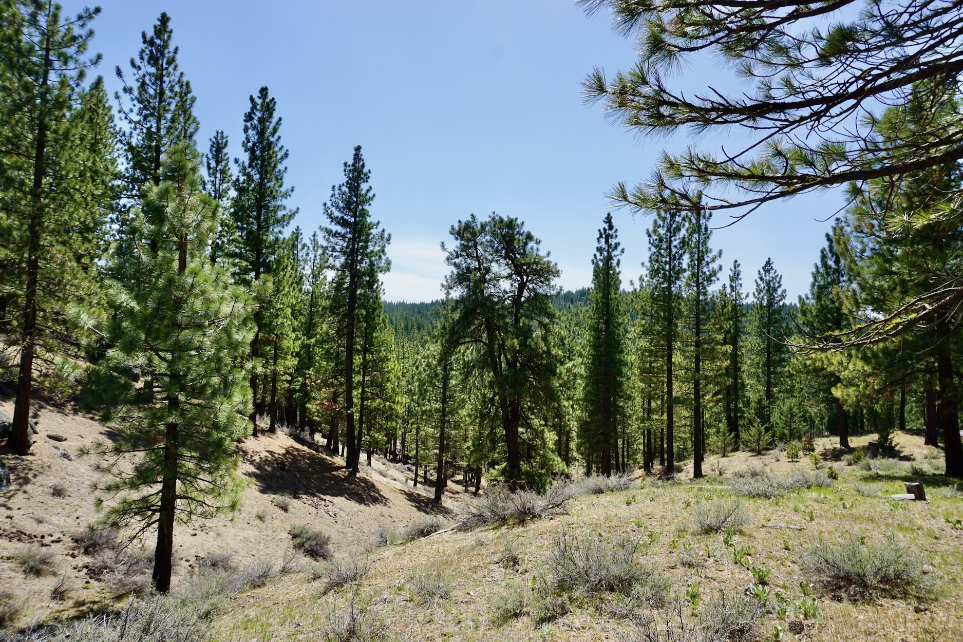 1125 Cloud Painter Unit GM#6