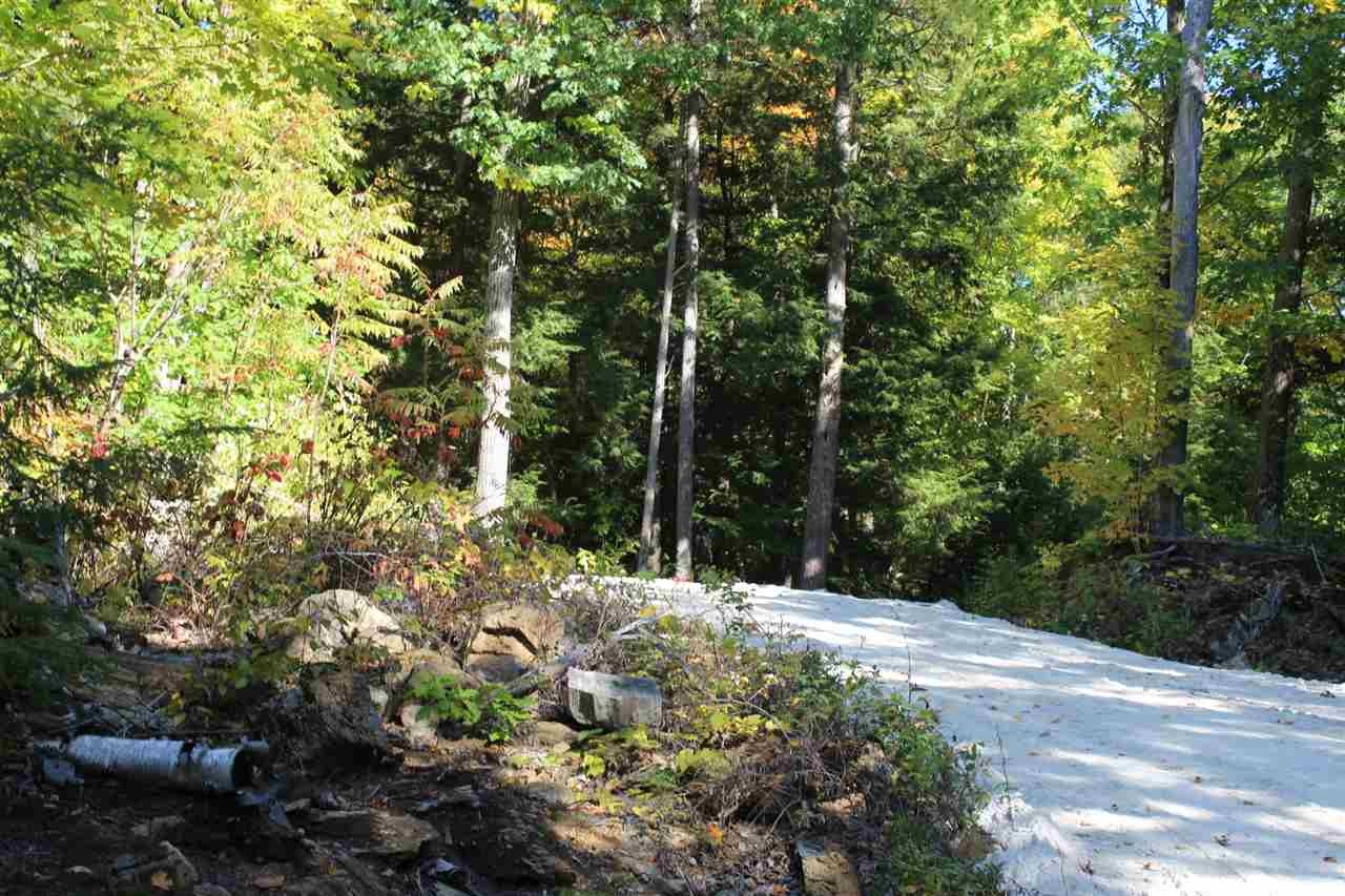 590 Piper Ridge Middlebury, VT 05753 - Photo 1 of 23