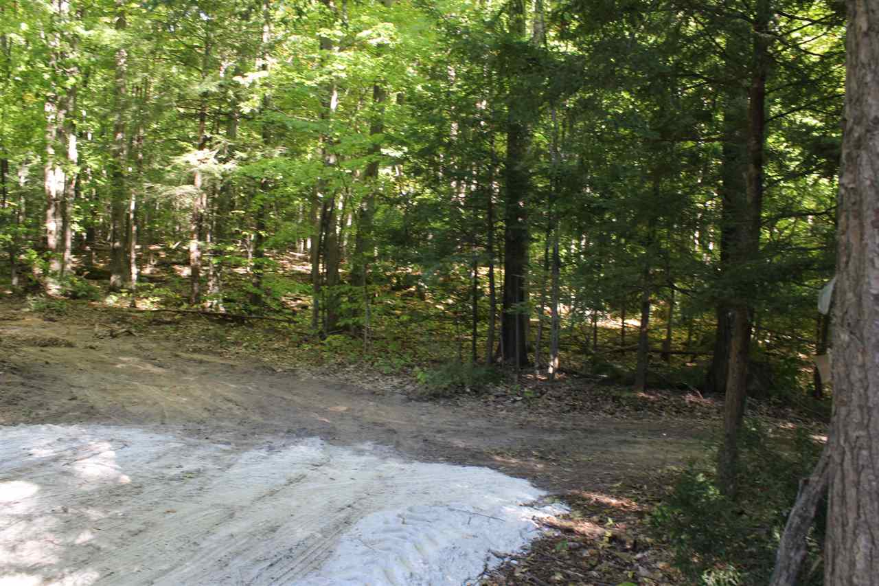 590 Piper Ridge Middlebury, VT 05753 - Photo 5 of 23